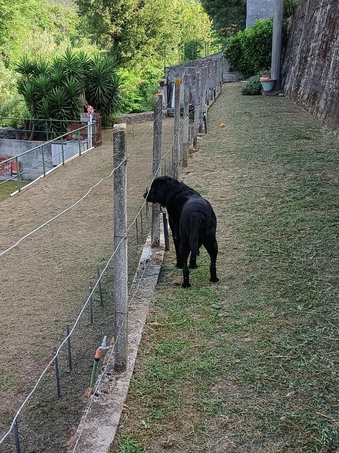 Villa Da Ange E Bru Sestri Levante Exterior foto